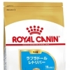 RC BHN ラブラドールレトリバー 子犬 3kg