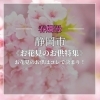 【静岡市】お花見のお供に◯◯特集!