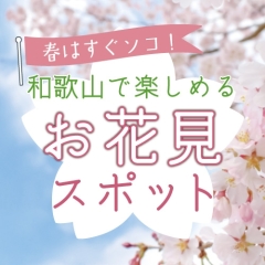【2026年】和歌山で楽しめるお花見スポットまとめ|和歌山市・岩出市・紀の川市・海南市