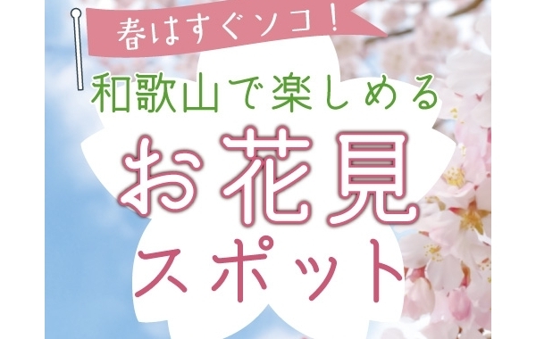 【2024年】和歌山で楽しめるお花見スポットまとめ｜和歌山市・岩出市・紀の川市・海南市