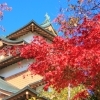 【紅葉スポット】 諏訪市 高島公園