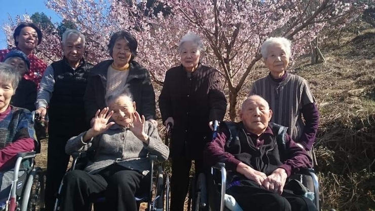 「デイサービス金太郎桜見学野外歩行訓練(^○^)‼️。」