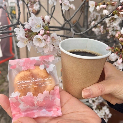 「春限定☆桜パイと桜マドレーヌ☆　テイクアウトでたのしみませんか？」