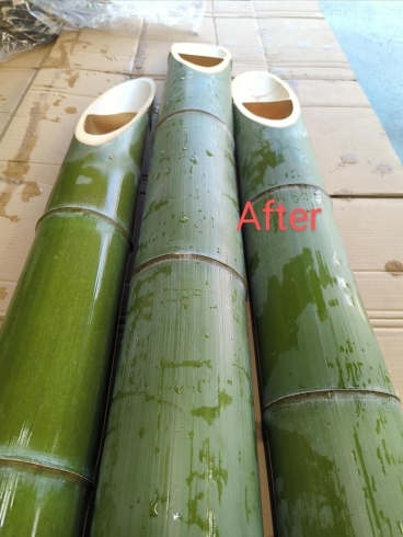 磨いた後の竹「門松作りの前準備 竹磨き」