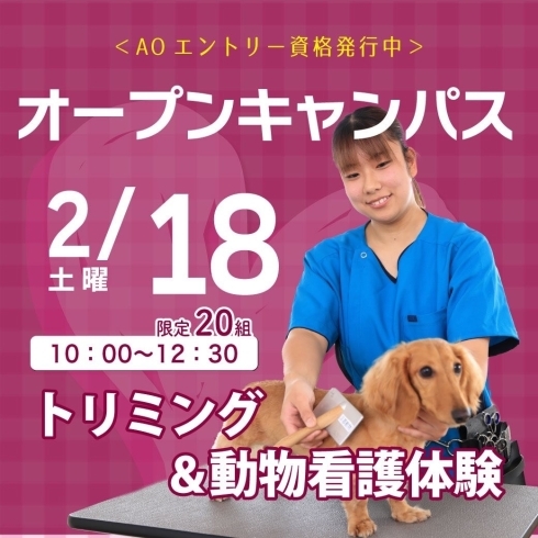 オープンキャンパスはお早めにお申し込みください。「できました！京都動物 モデル犬カレンダー 2023」