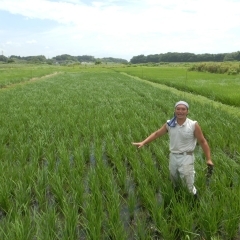 編集部スタッフの「ベジとるとる田植え体験」（2）草刈り編（全3回）