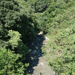 避暑気分で、道の駅『霧の森』までドライブしてはいかがでしょうか?
