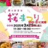 新萱田自治会主催!「桜まつり」が八千代市萱田第1緑地で、2025年3月30日(日)に開催
