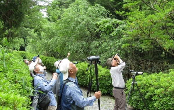 満濃池森林公園　春の野鳥観察会