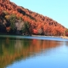 【紅葉スポット】 諏訪市 蓼の海公園
