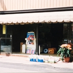 タネのハシモトの今昔