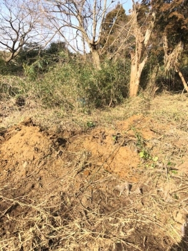 整地「借りた置き場の廃棄物の巻」