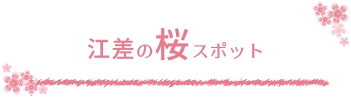 2023年　江差　桜・花見スポット