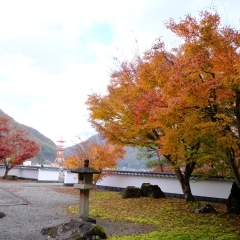 【西方】新見美術館