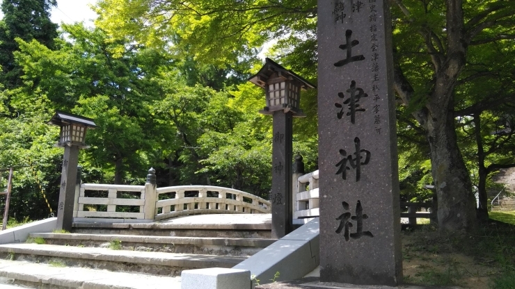 土津神社「〇〇歳の記念日に...五十路オヤジの日帰り一人旅！？ほぐし屋本舗は元気です（笑）」