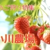 千歳市【小川農場】※今シーズンは終了致しました。