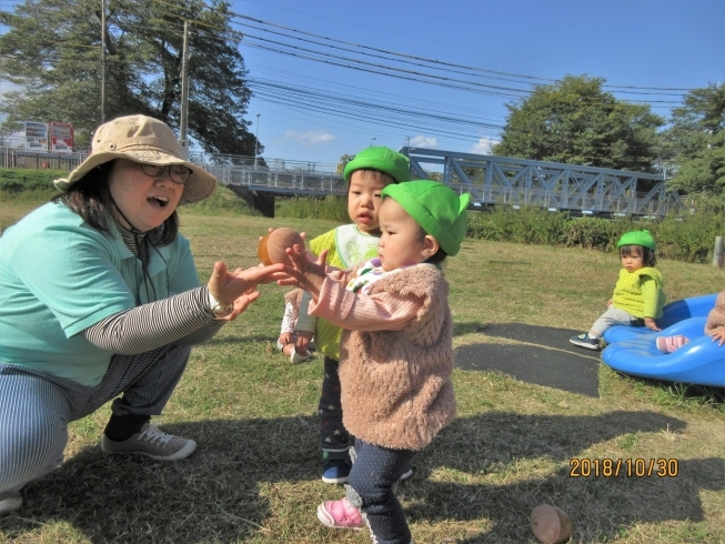 どんぐり拾い遠足♪「保育士さん募集！」