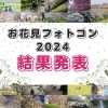 \結果発表/ まいぷれ川越周辺お花見フォトコンテスト2024