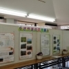 都市緑化植物園 さやまの花守展!!(2017)