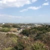 ■桜特集■豊明市 二村山
