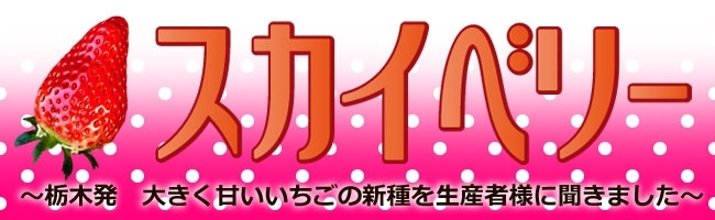 スカイベリー　～栃木発　大きく甘いいちごの新種を生産者様に聞きました～