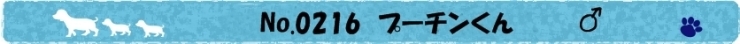 No.216　プーチンくん　 品川犬