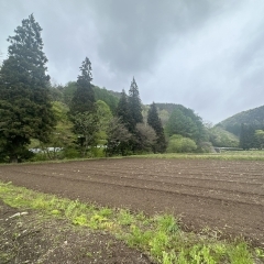 【 初開催☆　簗川とうもろこし栽培体験会 参加者募集中！！】