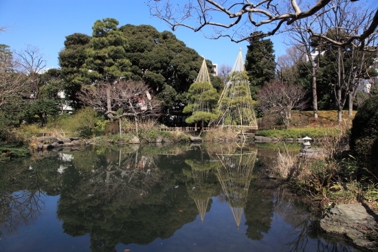 日本庭園が見えてきました。<br>3月上旬の訪問時点では、冬の名物「雪吊り」がまだありました。<br>この写真と次の写真は、池の反対側からウッドボードに続く路を撮影したものです。