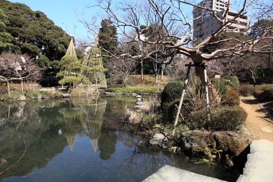 池を一周するように路があります。池の周囲にはいろいろな樹木があります。