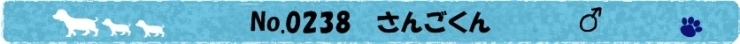 No.238　 さんごくん　品川犬