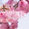 【永福町】くらもとシネマ 『陽光桜 -YOKO THE CHERRY BLOSSOM-』