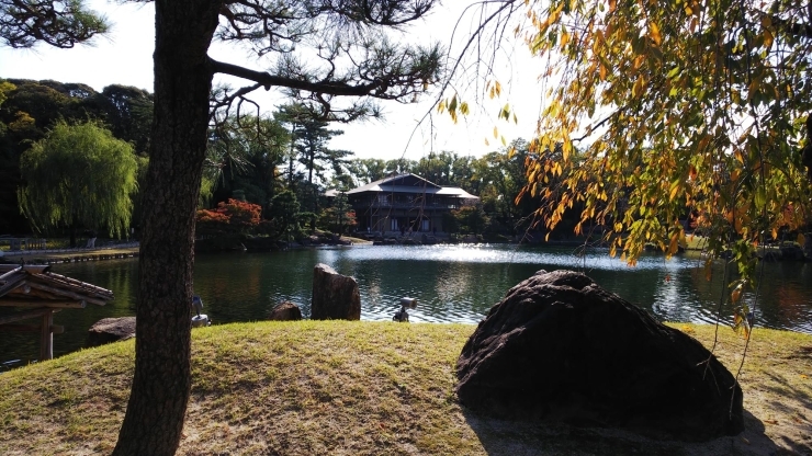 徳川園「徳川園に行ってきました   春日井市民ミズマサの子育て日記」