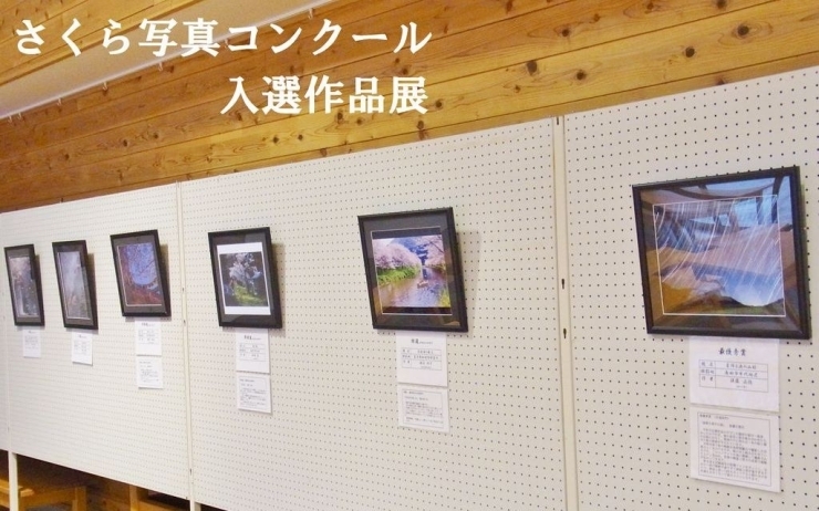 「静岡県さくら写真コンクール入選作品展」
