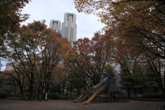 １１月 木々の葉は黄色や茶色に変身しています。<br>(撮影 2012年11月24日)