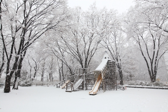 １月の雪が降った日 公園全体が幽玄な墨絵の世界に変身していました。<br>(撮影 2013年1月14日)