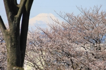 富士見町第二公園