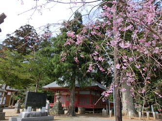 お社を背景にパチリ♪