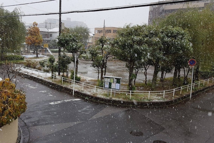 「流山市　雪情報」