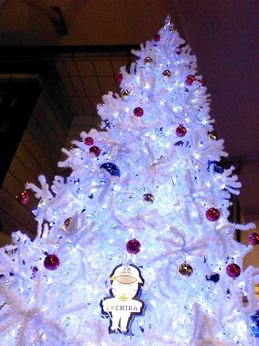 「クリスマスツリー★千葉駅前★」