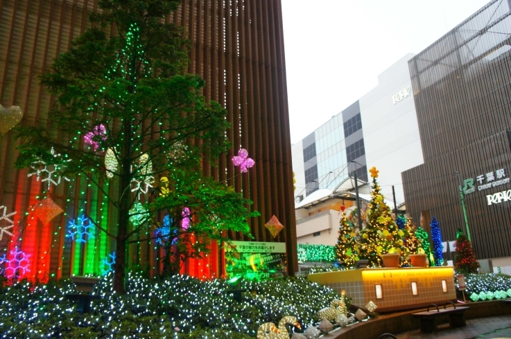 「クリスマスツリー★千葉駅前～京成千葉　そごうさん入口★」