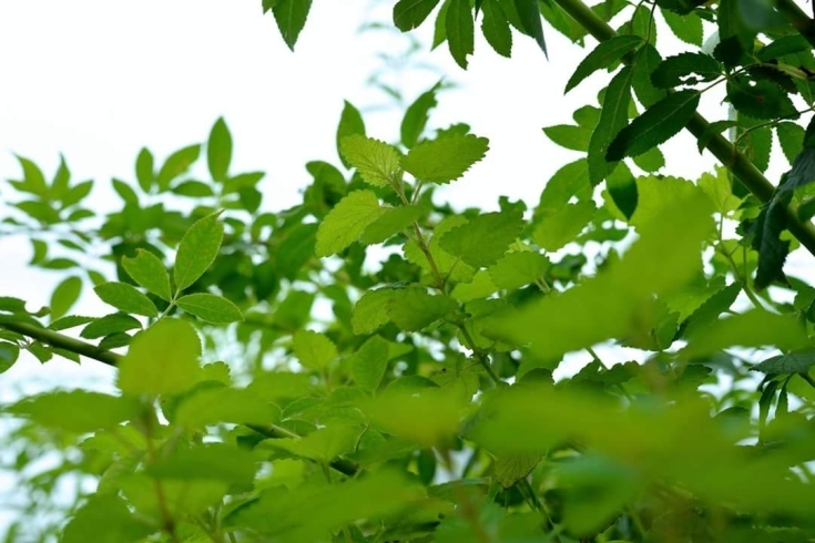 「来年も宜しくお願いします。」