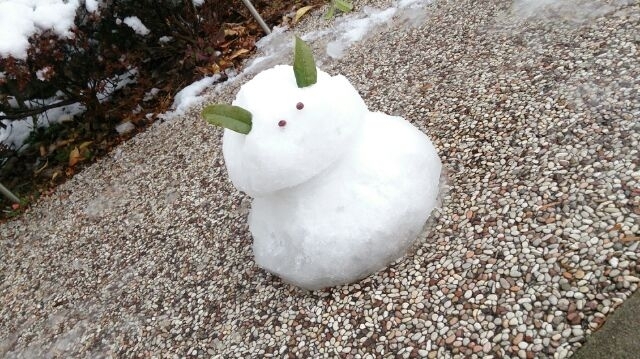 「☆雪！和歌山で積雪でした☆」