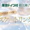 東京ドイツ村 ヒルトップリンク