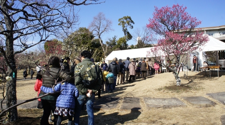 「２０１７豊橋うめまつり・午後2時」