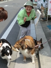 暑くなりワンちゃんたちも休憩中！！飼い主じゃない人も一緒にポーズ