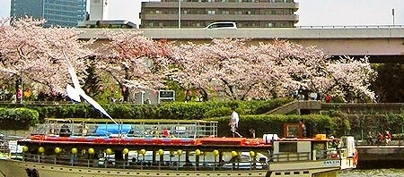 「東京スカイツリー＆隅田川お花見クルーズ」