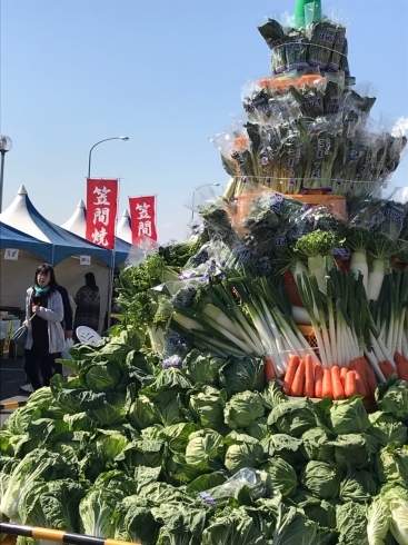 「行方を食べよう！　ふれあい感謝祭が開催されました(≧▽≦)」