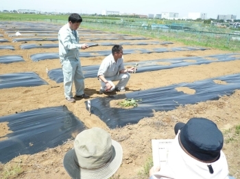 植え方のコツを教わって