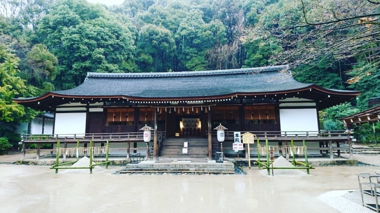 「宮司と行く『奈良・京都、お寺神社巡りの旅』開催されました♪」