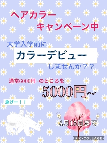 「来週土曜日まで♪♪」